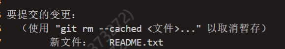 image-20230302095424834