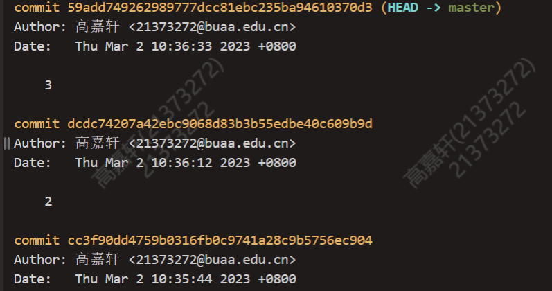 image-20230302103826383